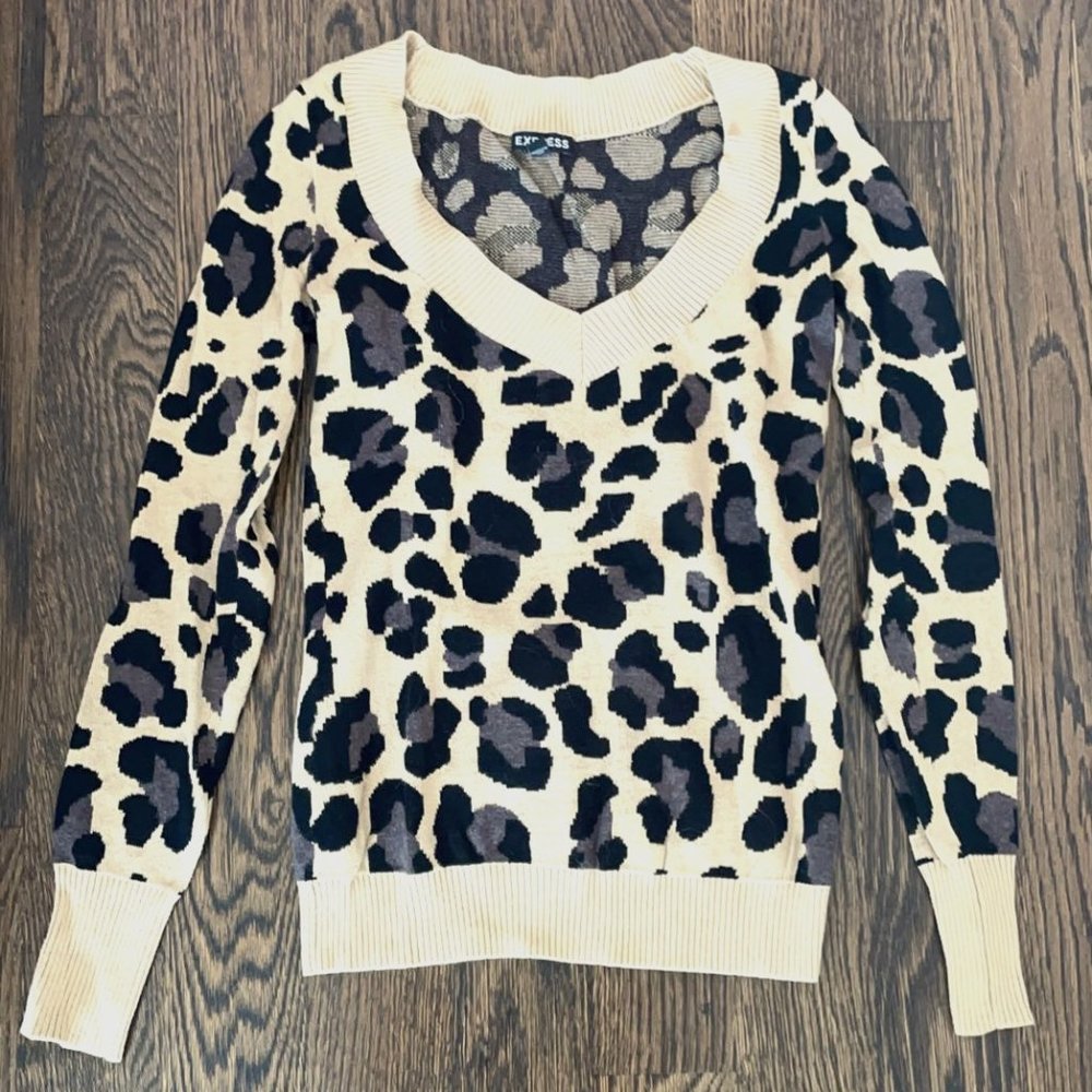 Cheetah Long Sleeve Top